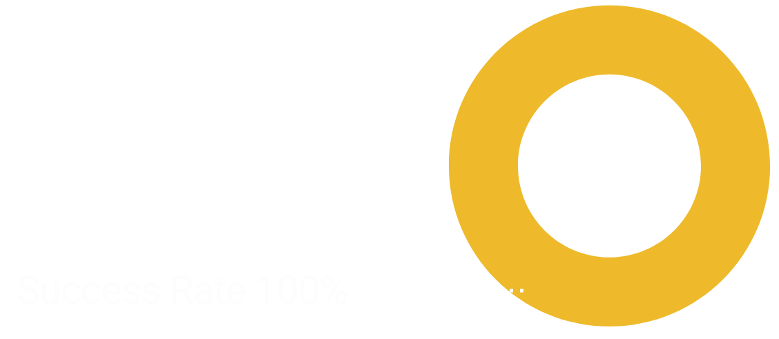 Circle graph with 100% showing pentest pass rate